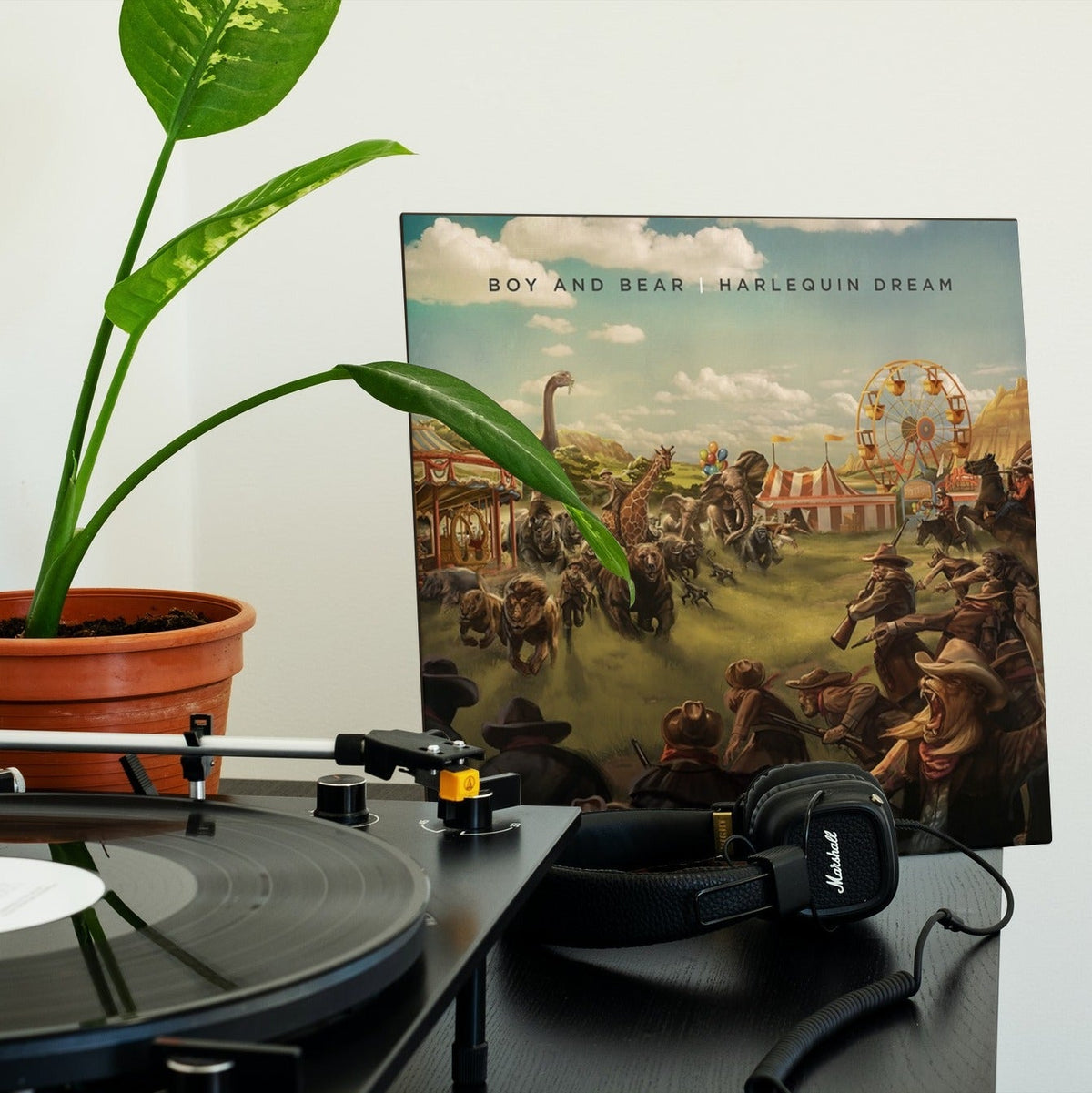 Boy & Bear - Harlequin Dream - 10th Anniversary Blue (Vinyl LP)