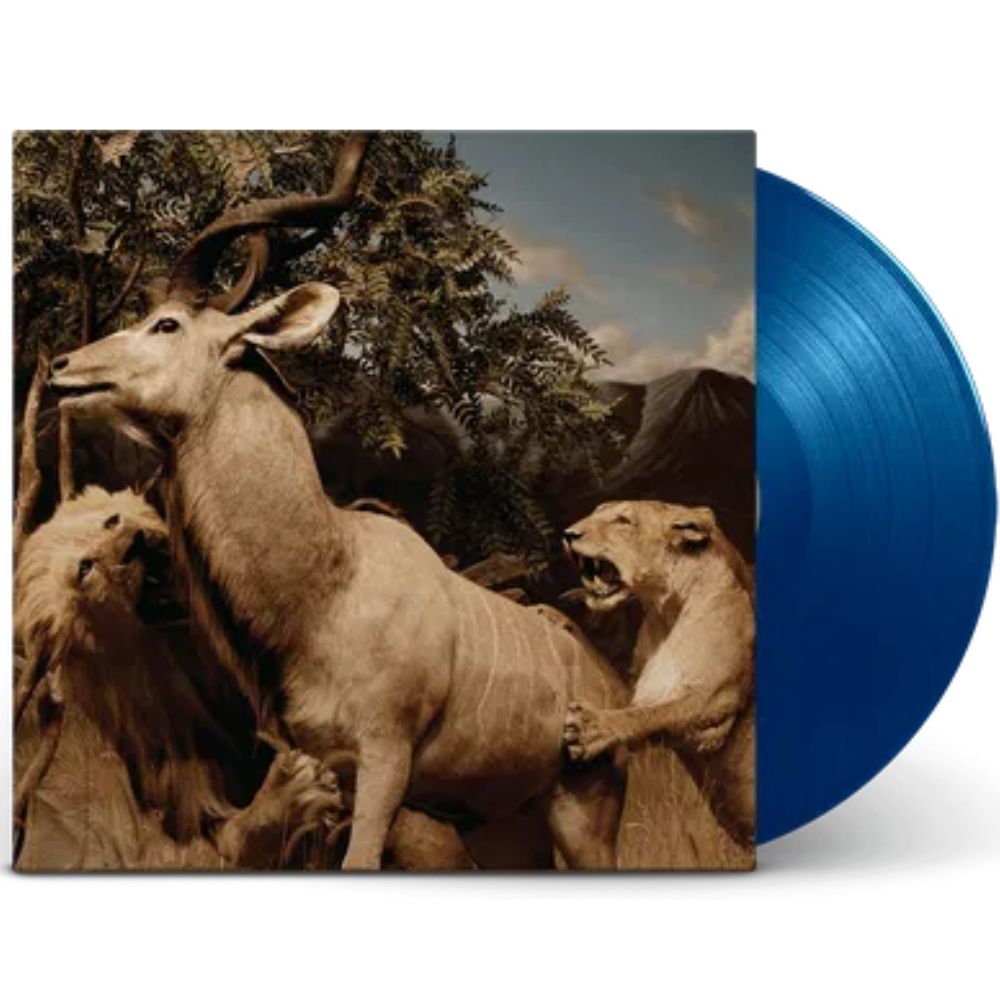 Interpol - Our Love to Admire - Blue (Vinyl LP)
