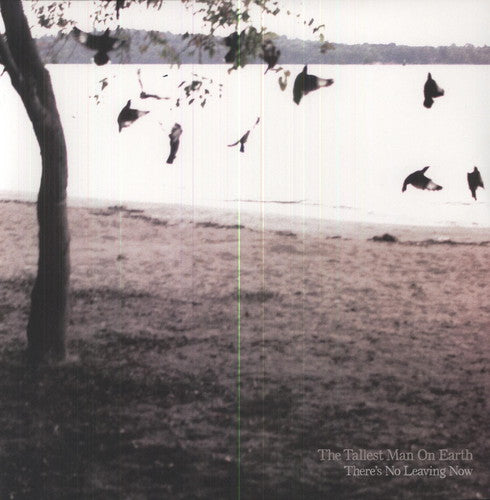 The Tallest Man on Earth - There's No Leaving Now LP