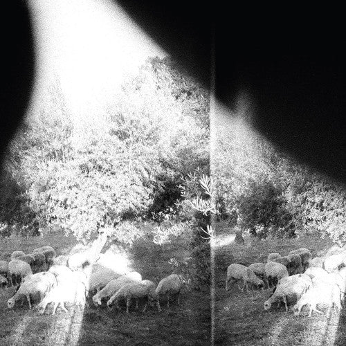 Godspeed You! Black Emperor - Asunder Sweet & Other Distress LP (180 Gram Vinyl)
