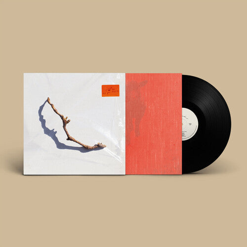 PJ Harvey - I Inside The Old Year Dying LP