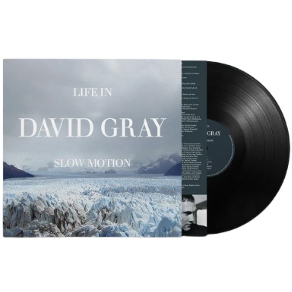 David Gray - Life in Slow Motion - 20th Anniversary Edition (Vinyl LP)