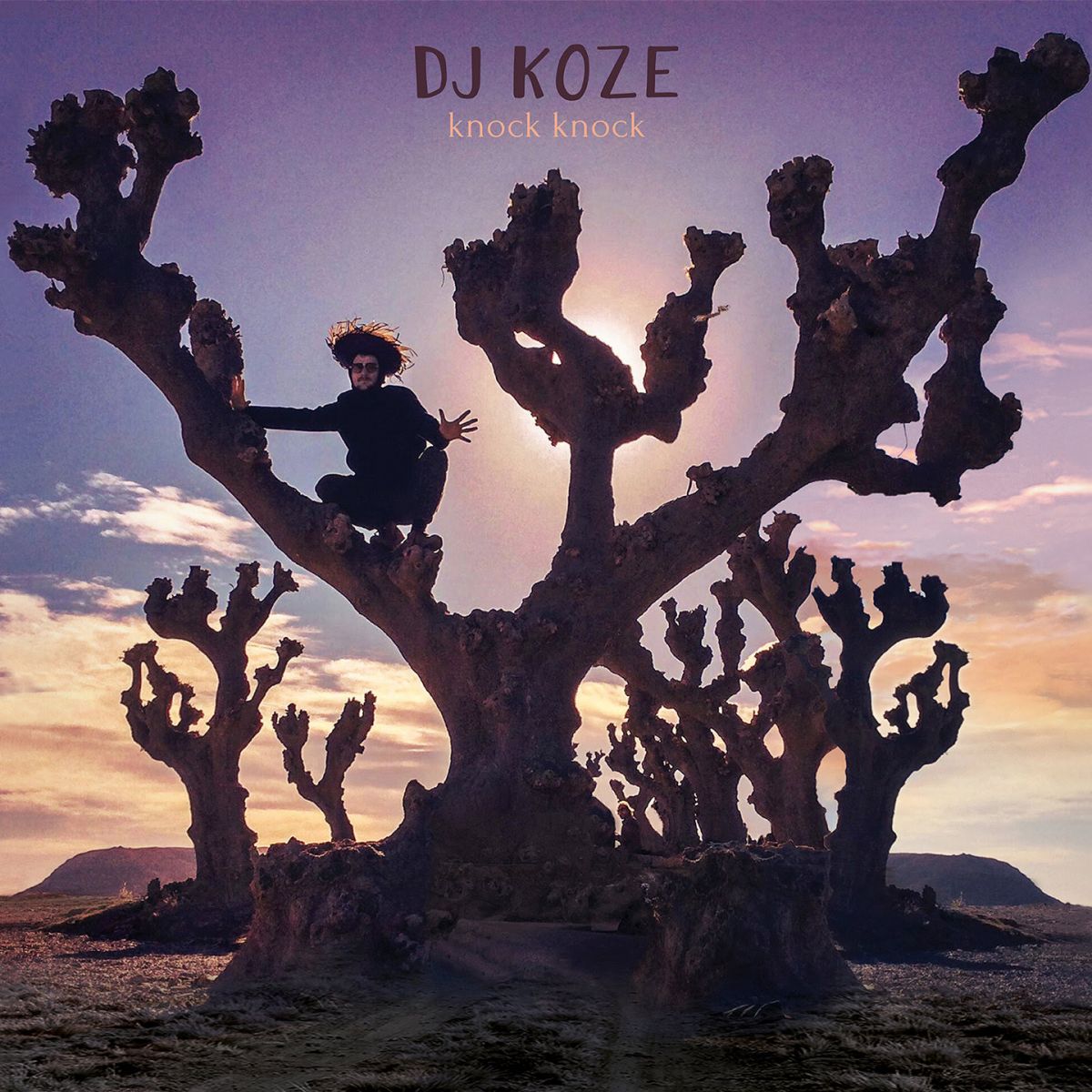 DJ Koze - Knock Knock - (Vinyl LP)