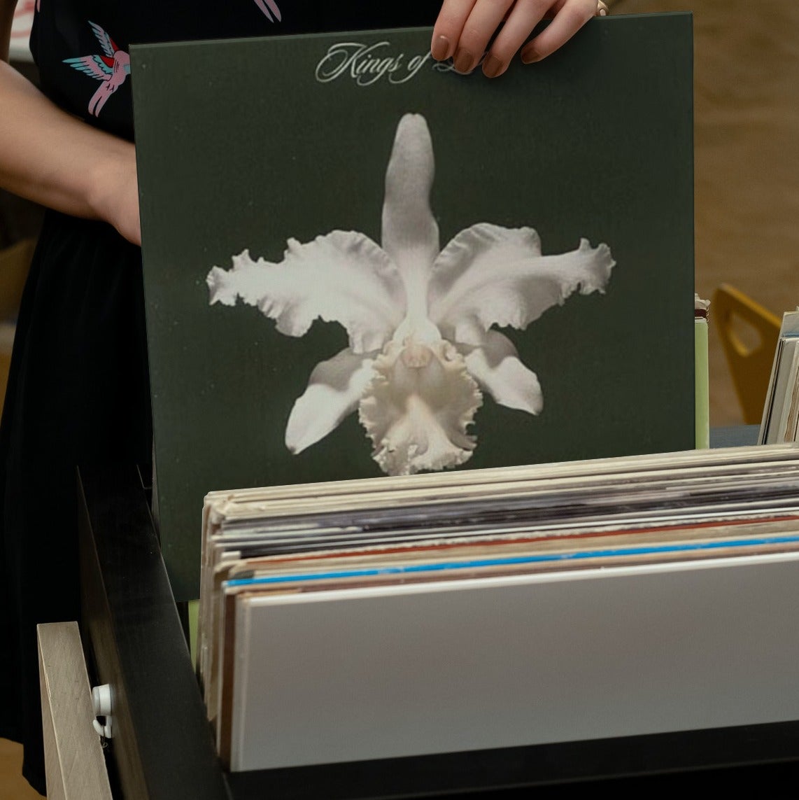 Kings of Leon - Aha Shake Heartbreak - 【Vinyl LP 】