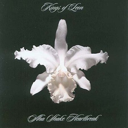 Kings of Leon - Aha Shake Heartbreak - 【Vinyl LP 】
