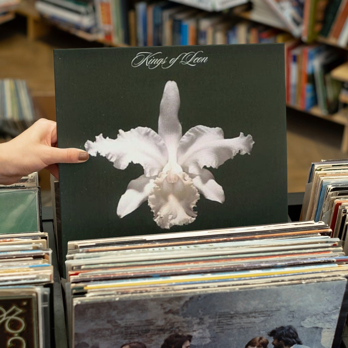 Kings of Leon - Aha Shake Heartbreak - 【Vinyl LP 】