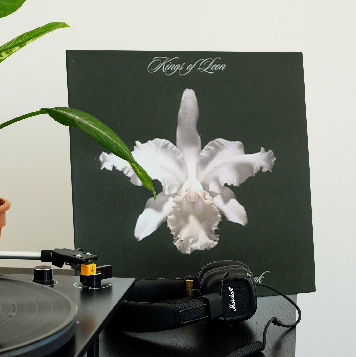 Kings of Leon - Aha Shake Heartbreak - 【Vinyl LP 】