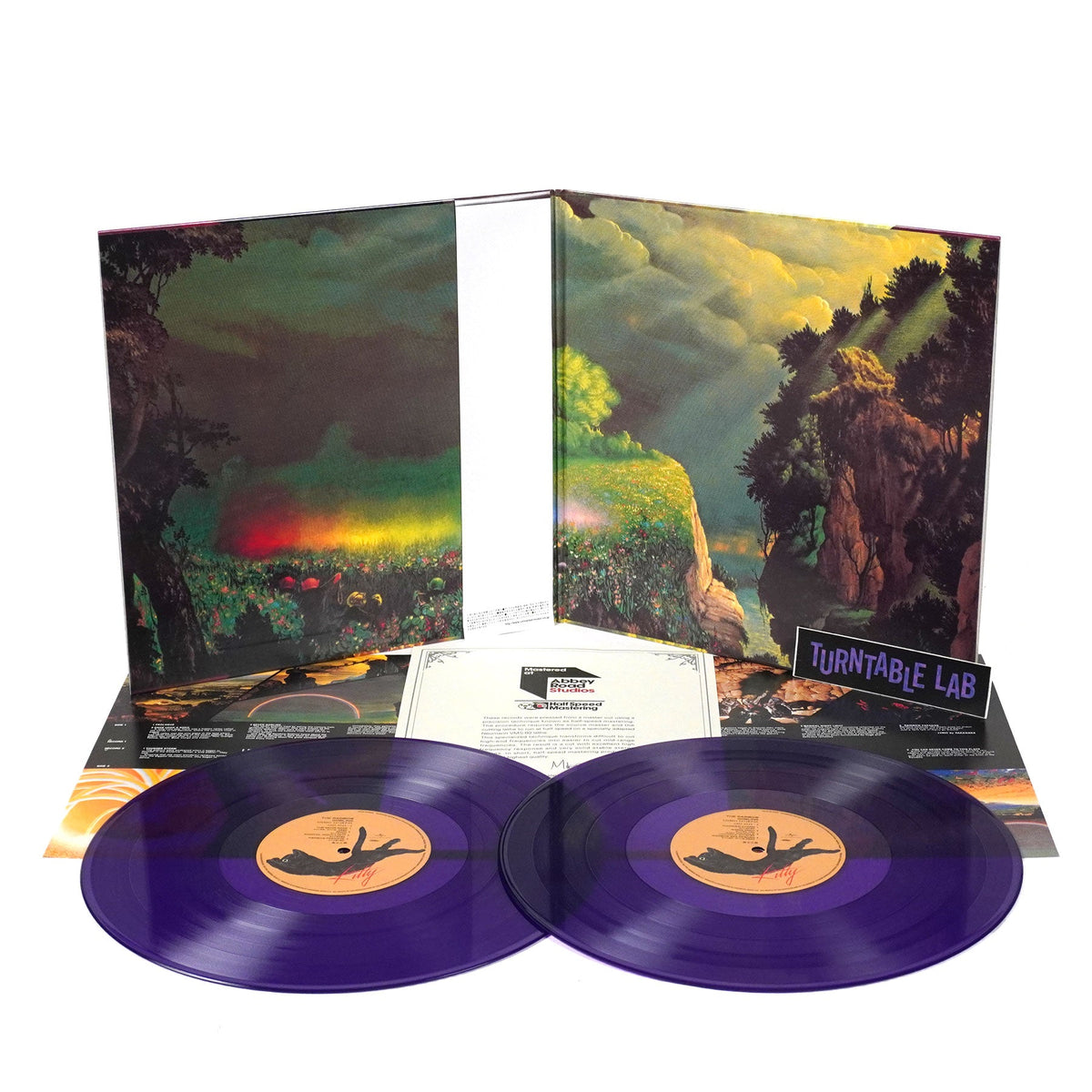 Masayoshi Takanaka: The Rainbow Goblins (Japan Import, Colored Vinyl) Vinyl 2LP