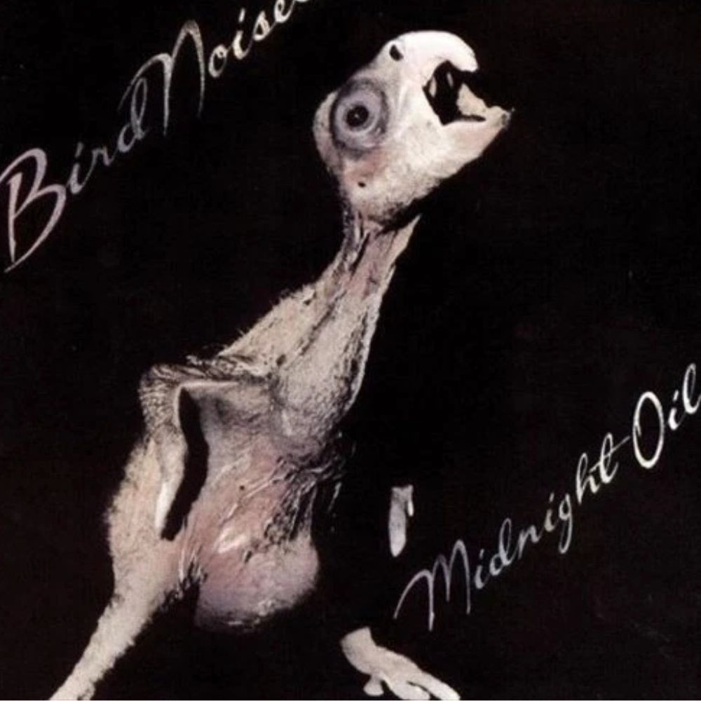 Midnight Oil - Bird Noises - {Vinyl LP}