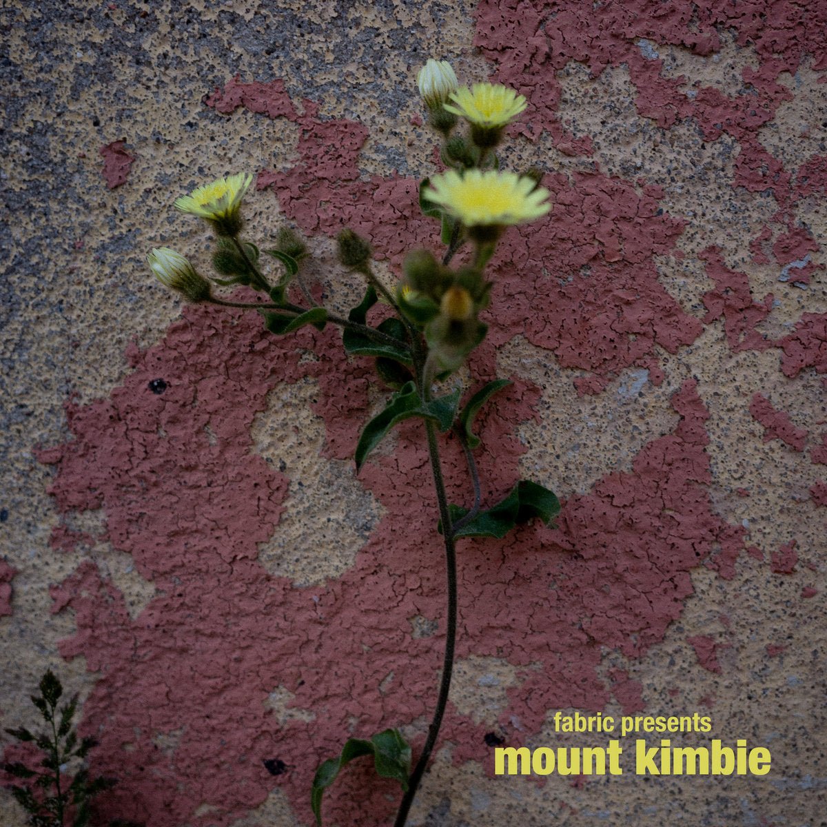 Mount Kimbie - fabric presents Mount Kimbie - (Vinyl LP)