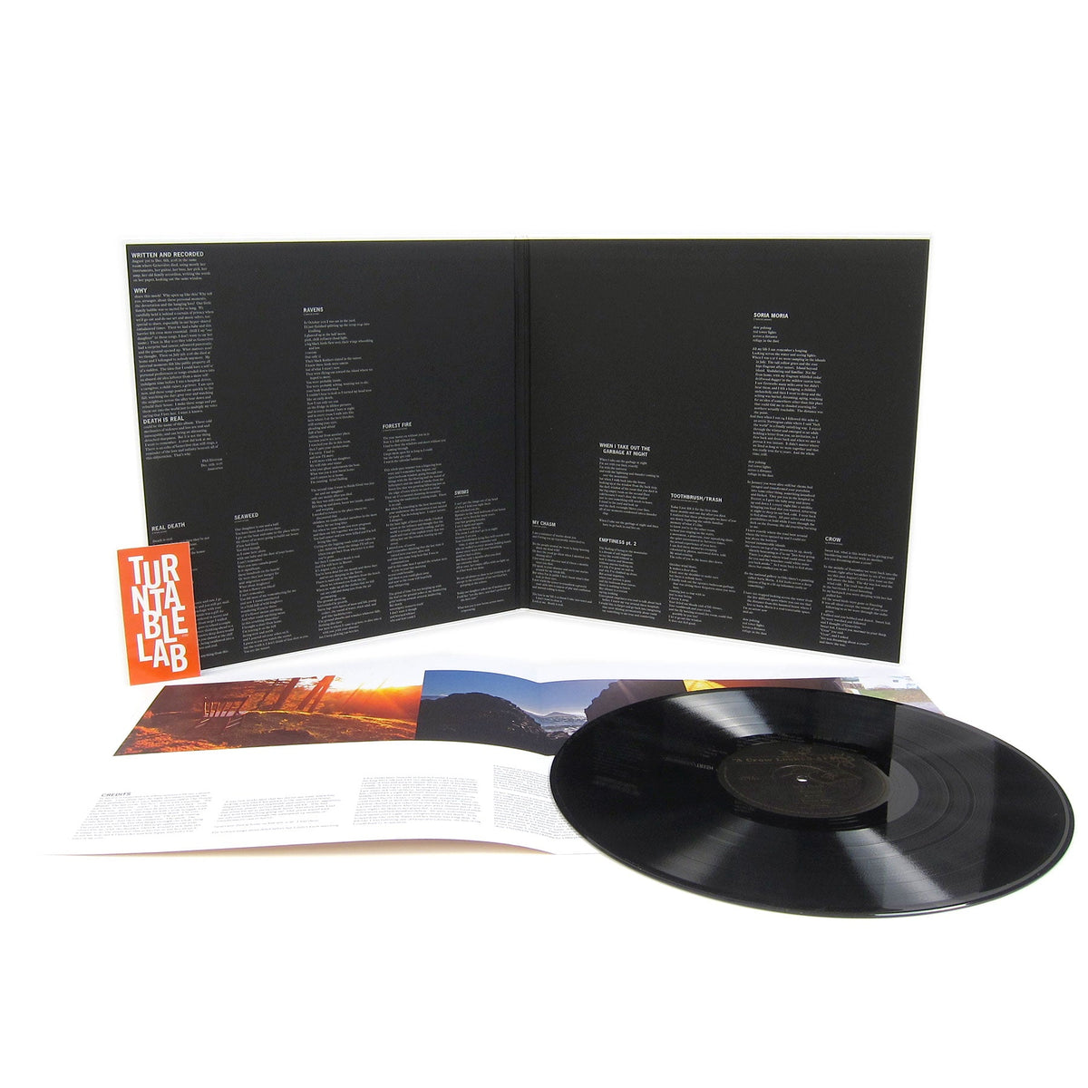 Mount Eerie: A Crow Looked At Me {Vinyl LP}
