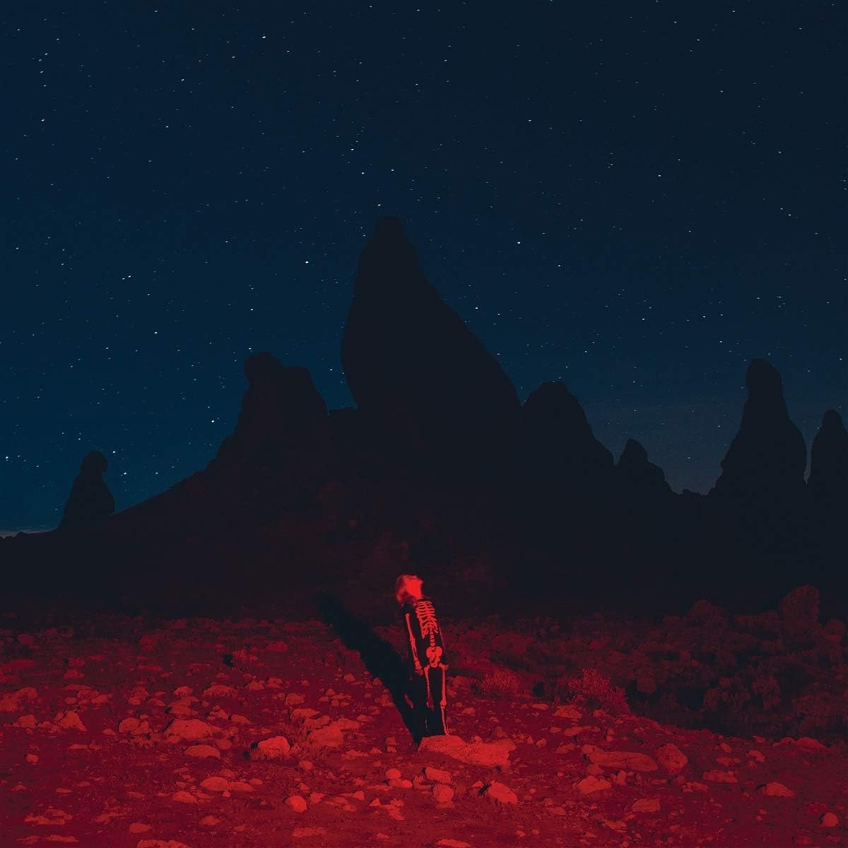 Phoebe Bridgers - Punisher - (Vinyl LP)