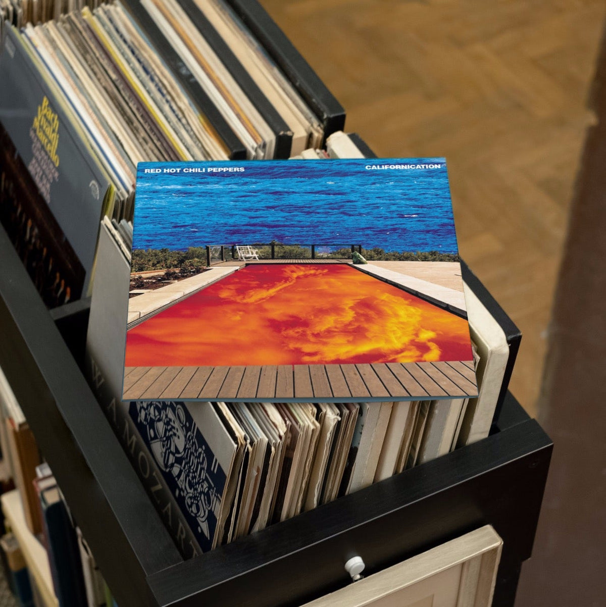Red Hot Chili Peppers - Californication - Red & Blue