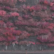 Sleep Token - Even In Arcadia - Hint of Blue 【Vinyl LP 】