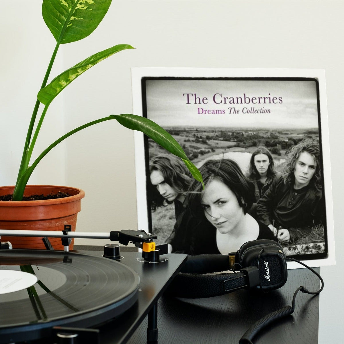 The Cranberries - Dreams: The Collection - 【Vinyl LP 】