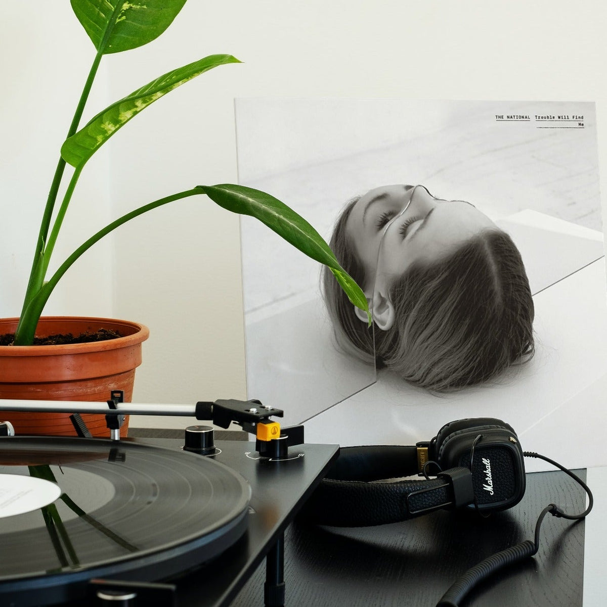 The National - Trouble Will Find Me - Coke Colour 【Vinyl LP 】