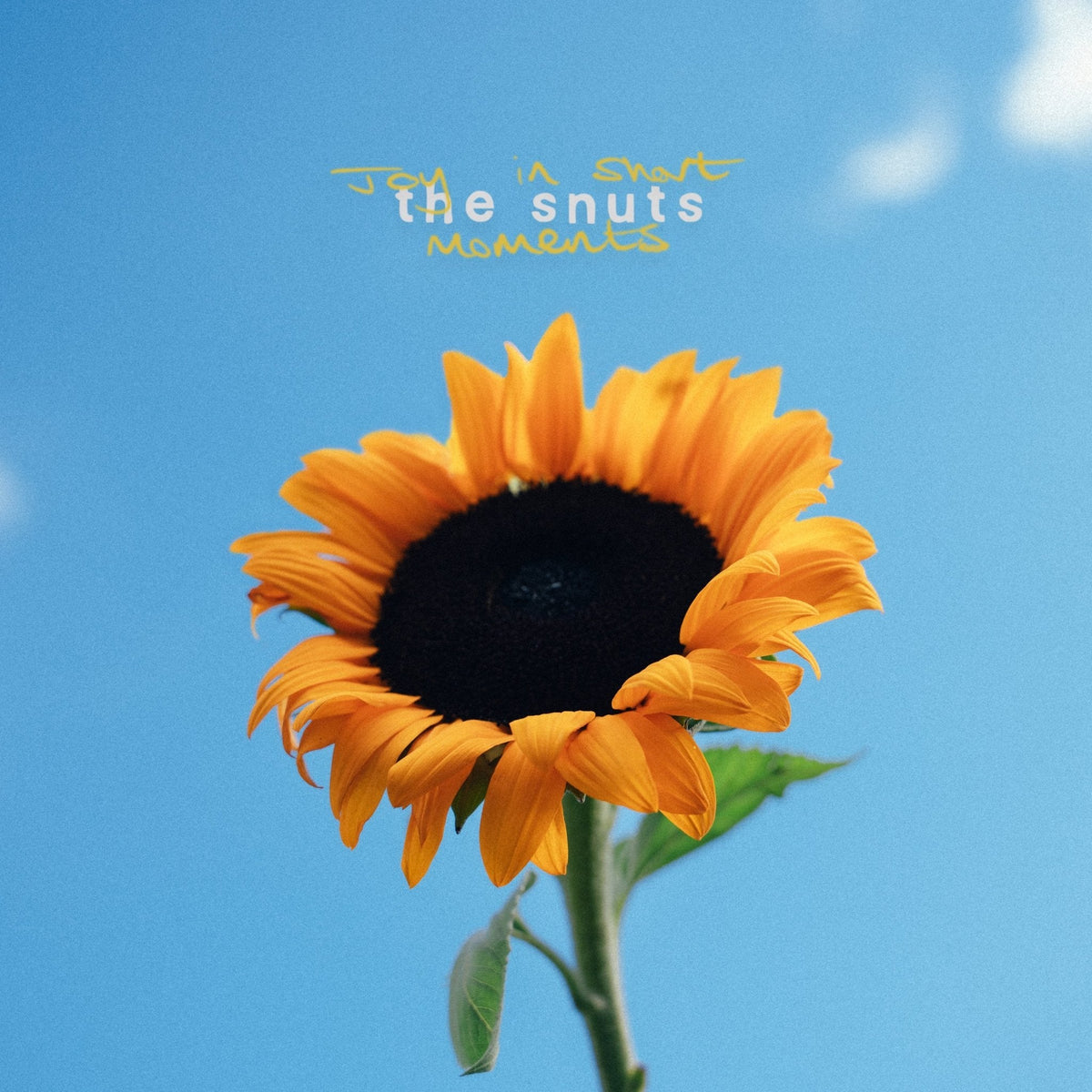 The Snuts - Joy In The Short Moments - 【Vinyl LP 】