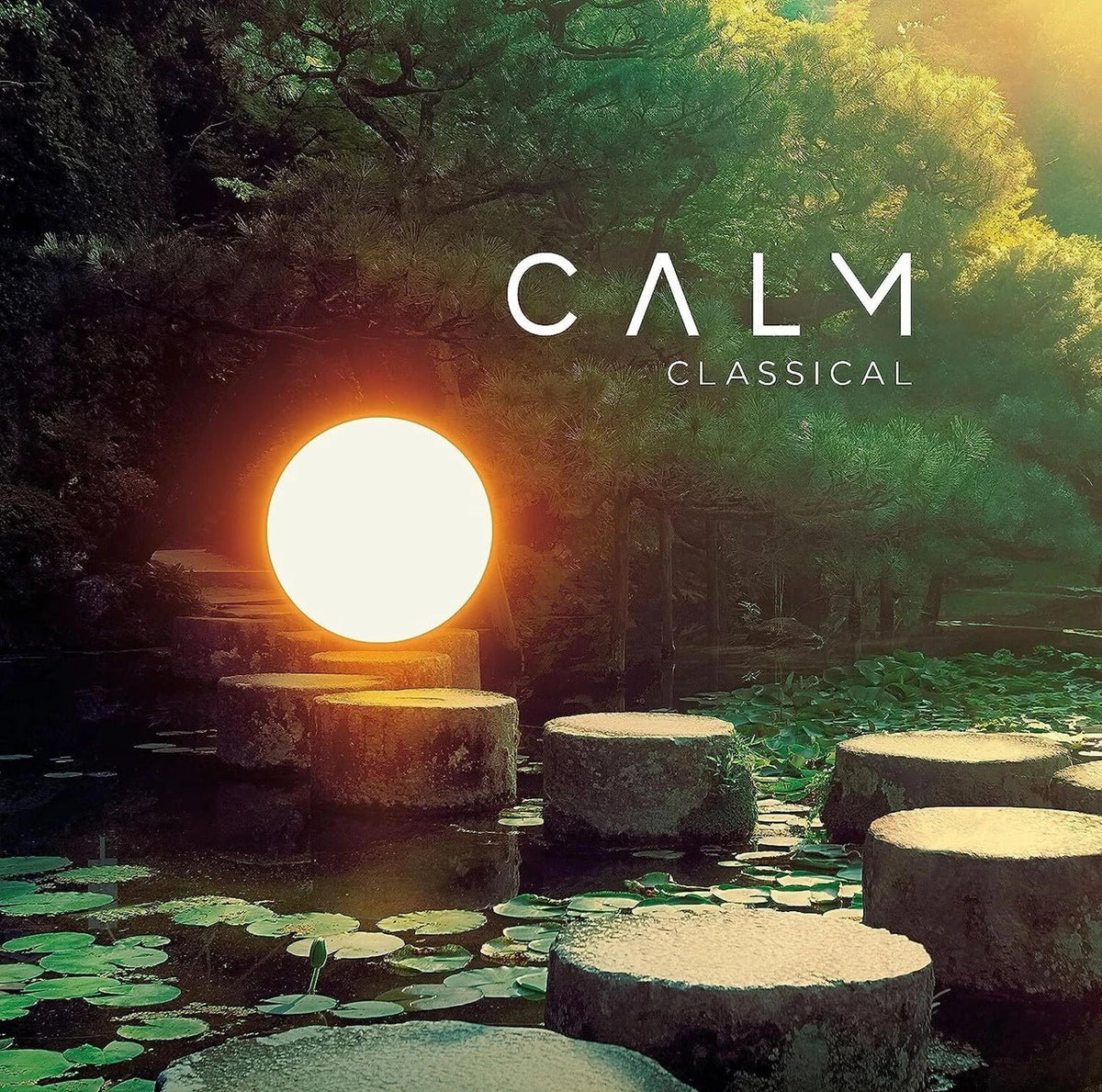 Various Artists - Calm Classical - (Vinyl LP)