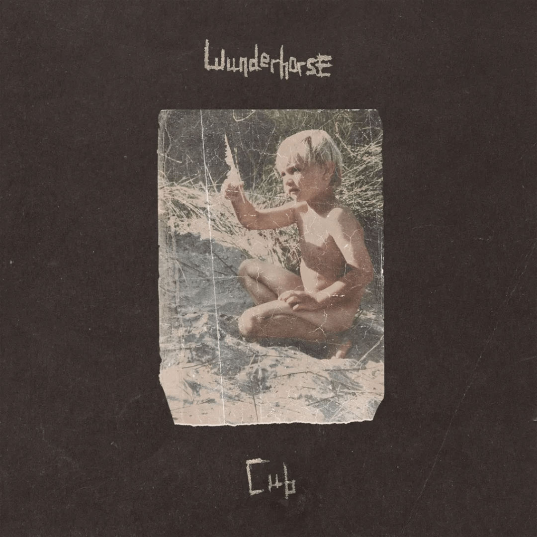 Wunderhorse - Cub - Clear 【Vinyl LP 】