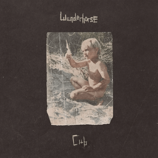 Wunderhorse - Cub - 【Vinyl LP 】